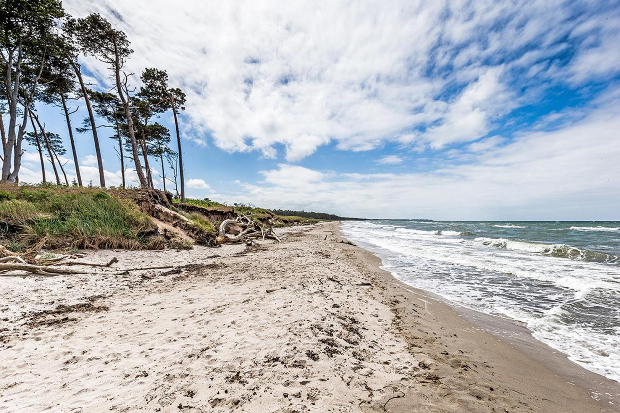 Seemannsgarn Zingst Dış mekan fotoğraf